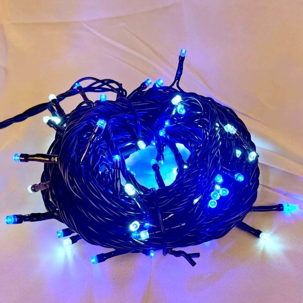 LED 100燈樹燈燈串-藍白光-黑線-110V-附控制器(閃爍)