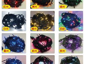 LED 100燈樹燈燈串-黑線-110V(常亮)